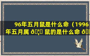 96年五月鼠是什么命（1996年五月属 🦟 鼠的是什么命 🐧 ）